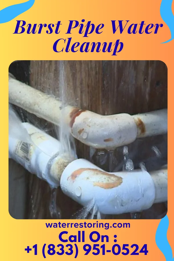 Burst Pipe Water Cleanup in Spokane, LA