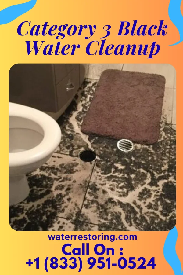 Category 3 Black Water Cleanup in Spokane, LA