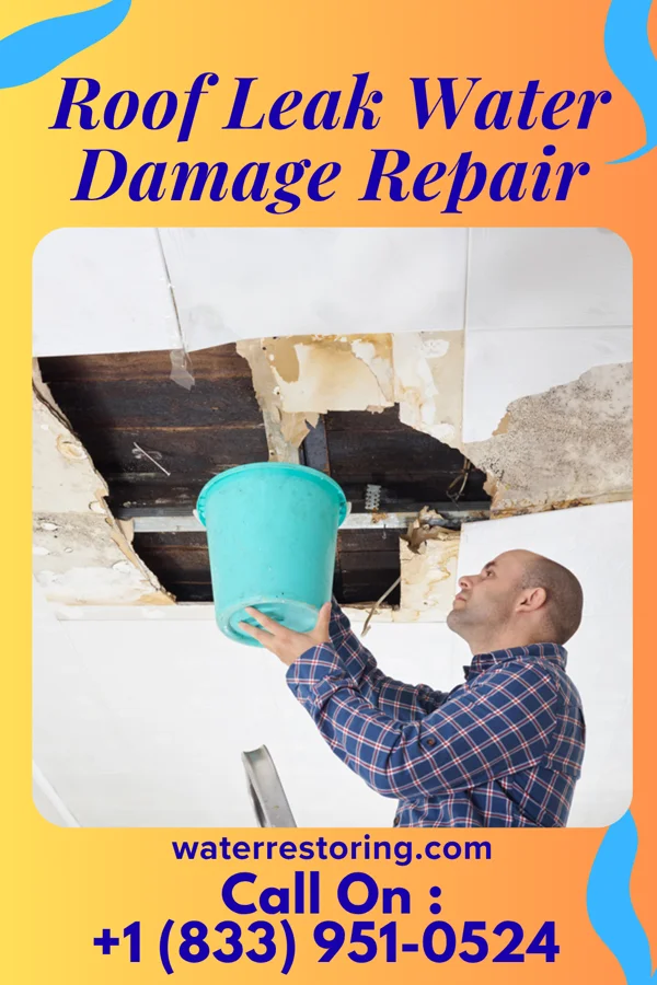 Roof Leak Water Damage Repair in Spokane, LA